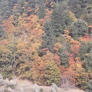 Meet your Posher, Alexander n.